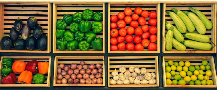 The power of a healthy gut